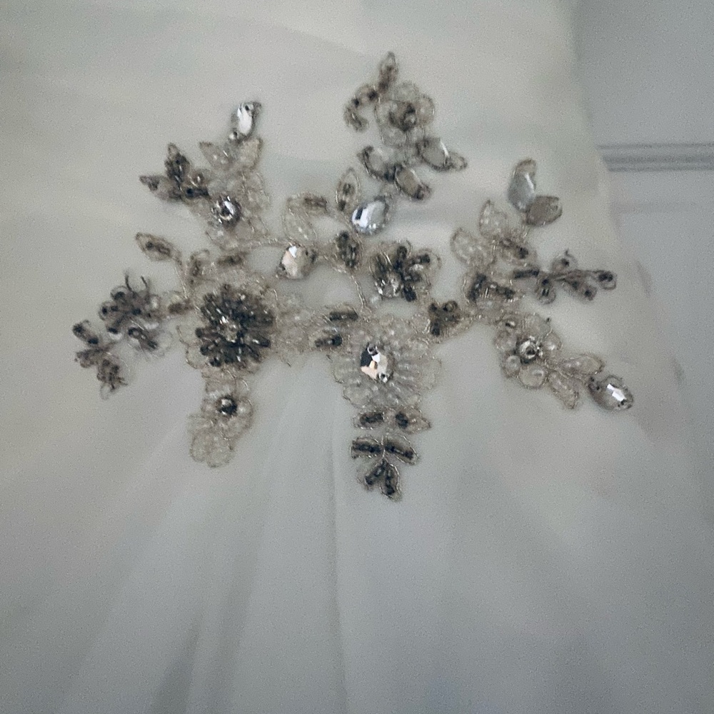 WEDDING DRESS!!! - Picture 12 of 15